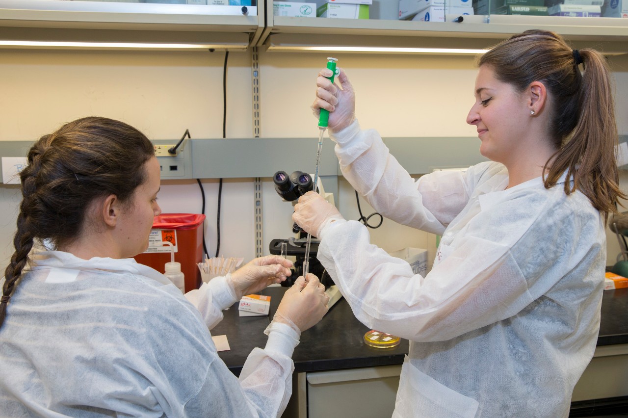 mls-students-in-lab mls-students-in-lab