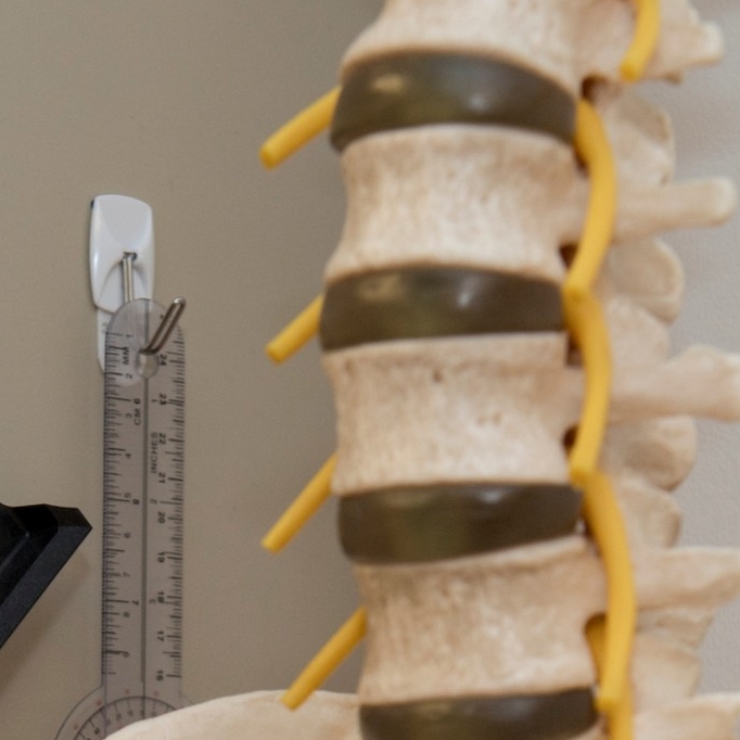 skeleton-and-tools Headshot of Department of Rehabilitation, Exercise, & Nutrition Sciences
