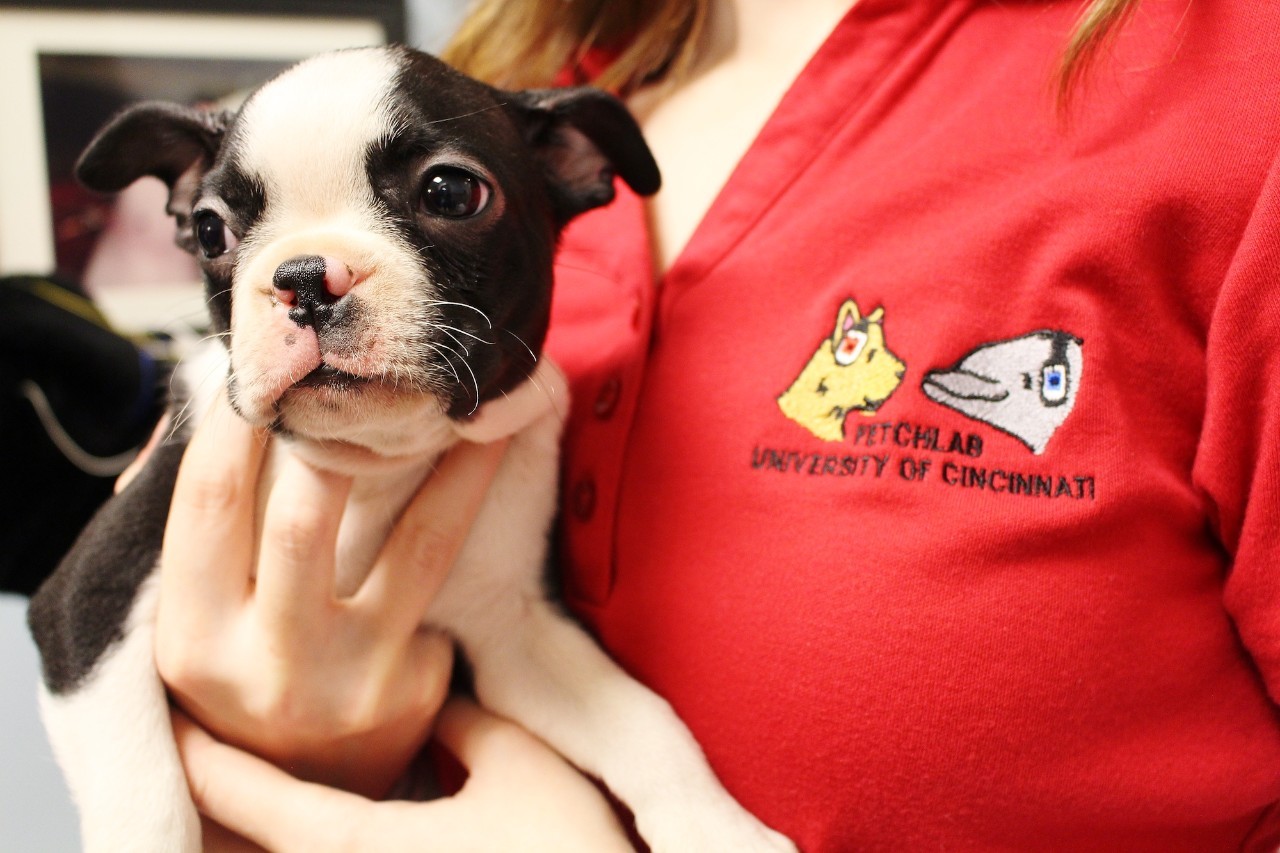 fetch-lab-student-with-puppy